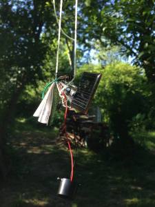 11704948_925964697446449_2088076096638376166_n